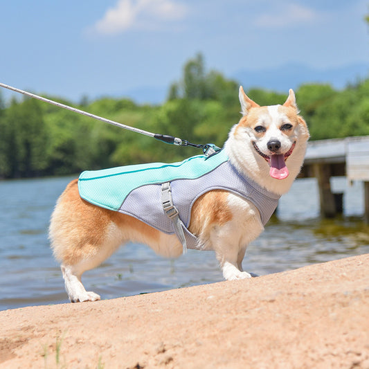 Summer Dog Cooling Harness