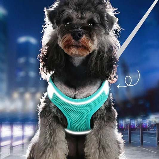 Pet Reflective Harness