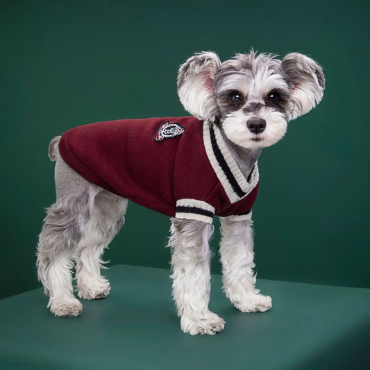 College Style Pet Dog Sweater