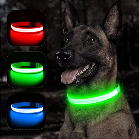 Dog Anti Lost Safety Glowing Collar