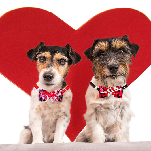10PCS/SET Valentine‘s Day Dog Bowtie